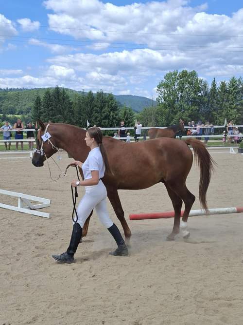 c1861bf4-1f40-45d3-a4ed-f0d1551d2b9b